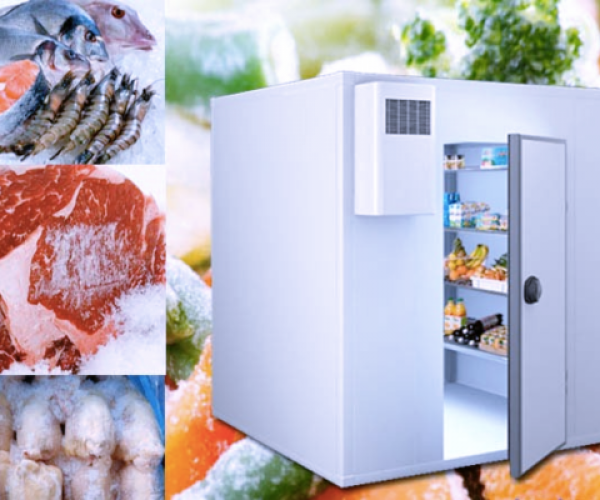 Kho Lạnh Thuỷ Hải Sản