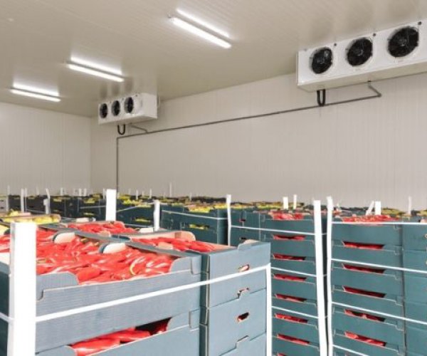 Kho Lạnh Nông Sản