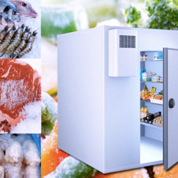 Kho Lạnh Thuỷ Hải Sản