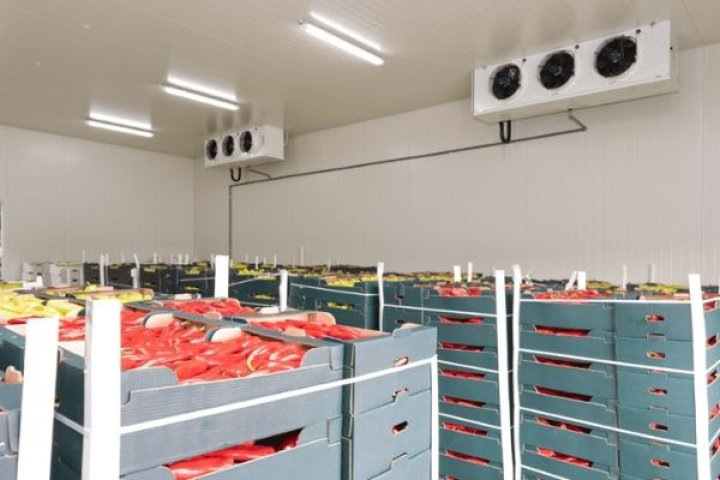 Kho Lạnh Bảo Quản Rau Củ